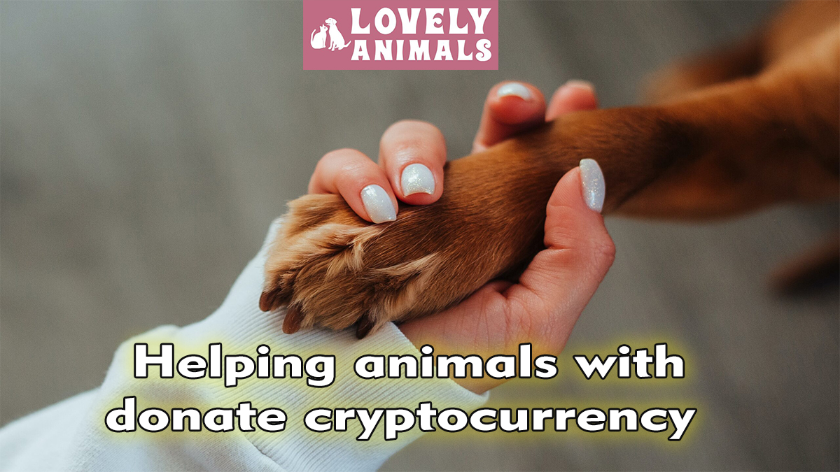 Helping animals with donate cryptocurrency